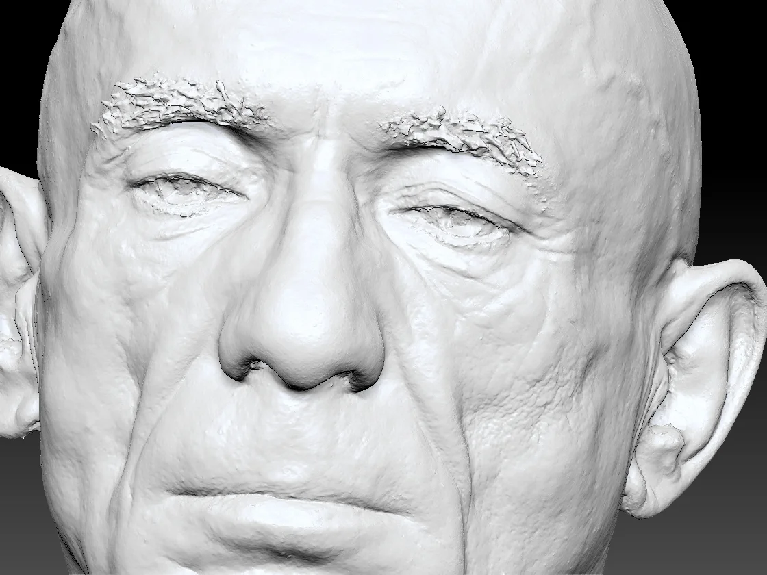 Human heads and FACS scans Render